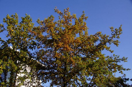 Bad Sassendorf